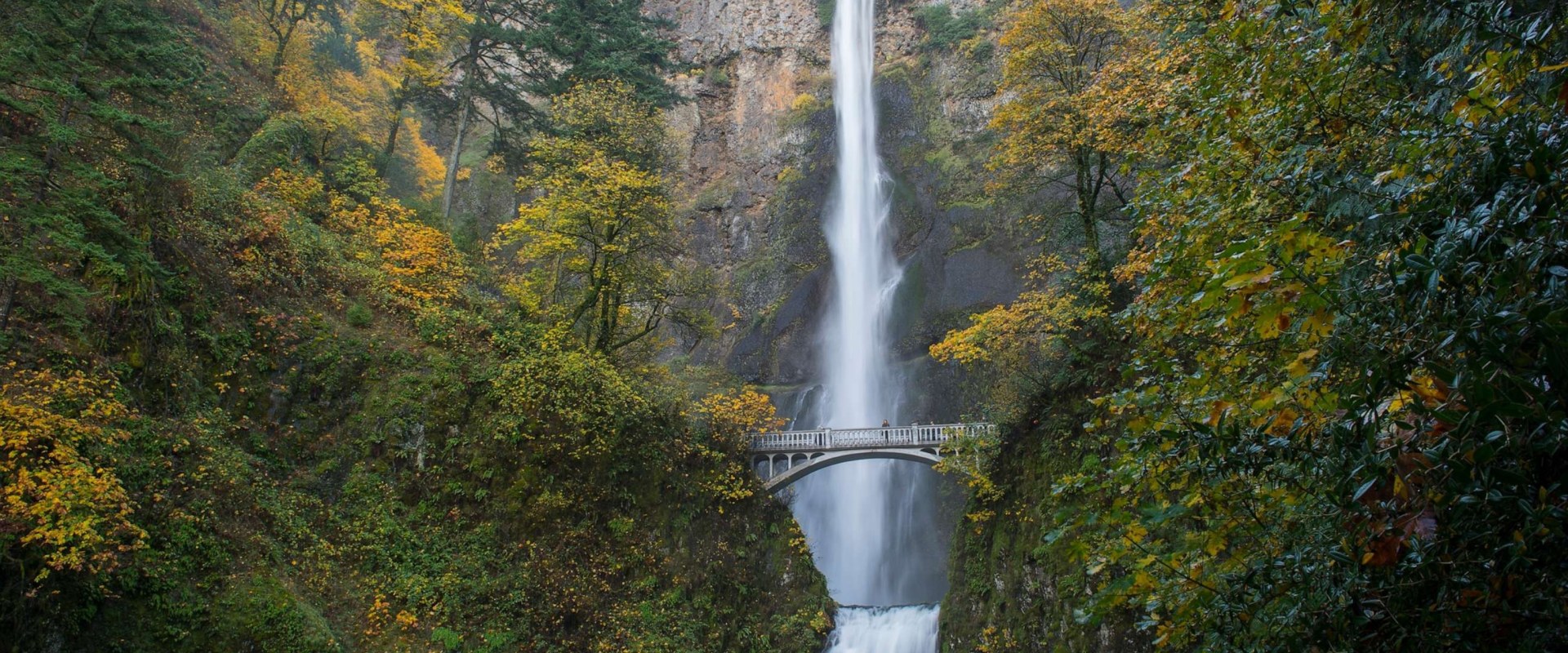 The Process of Requesting a Recount in Multnomah County, Oregon