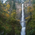 The Process of Requesting a Recount in Multnomah County, Oregon