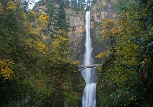 The Process of Requesting a Recount in Multnomah County, Oregon